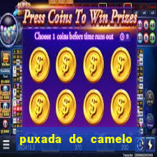 puxada do camelo no jogo do bicho